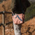 Mini shoulder bag in Persenning canvas recycled as a sailboat made in france