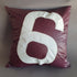 Cushion 40