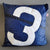 Cushion 40