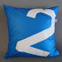 Cushion 40