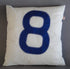 Coussin 50