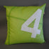Cushion 50